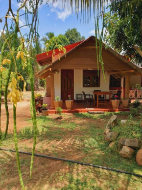 Jungle Eco Lodge & Safari